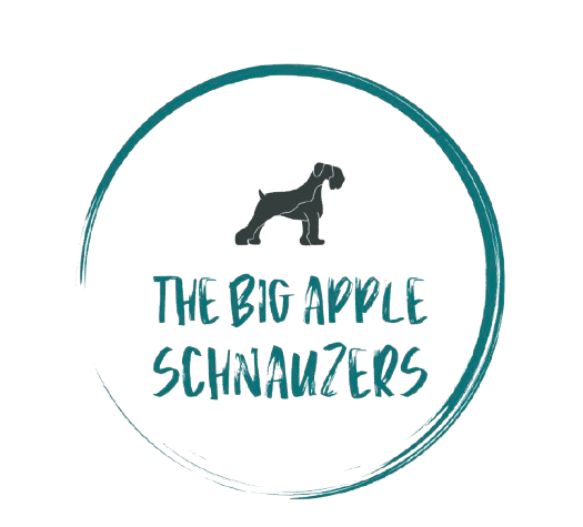 THE BIG APPLE SCHNAUZERS
